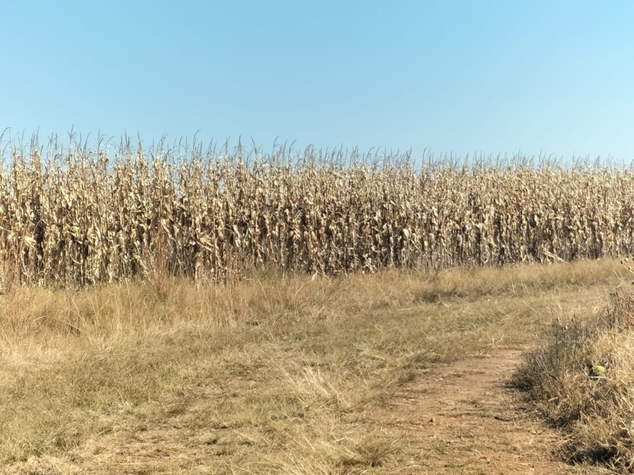 4 Bedroom Property for Sale in Bethlehem Rural Free State